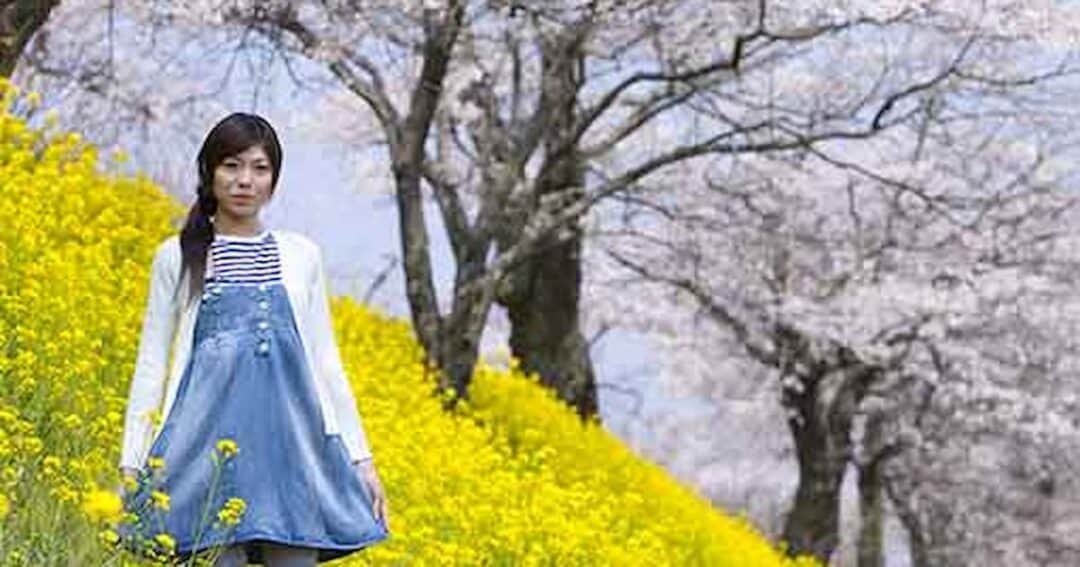 A woman in a denim dress and white cardigan stands among vibrant yellow flowers on a hillside. Behind her are blooming cherry blossom trees under a clear blue sky.