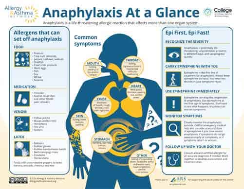 Infographic titled "Anaphylaxis At a Glance." It lists common allergens like food and venom, symptoms affecting skin, heart, and more, and emergency steps, such as using an epinephrine autoinjector and calling 911. It's by Allergy & Asthma Network.