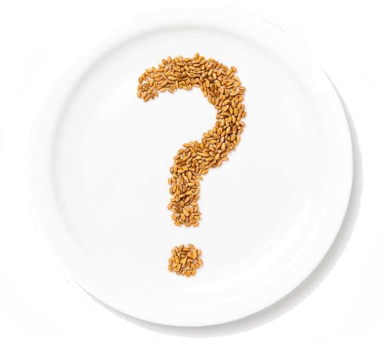A white plate with a question mark shape made of grains, possibly wheat, positioned at the center. The background is plain white, highlighting the grains arranged in the form of a question mark.