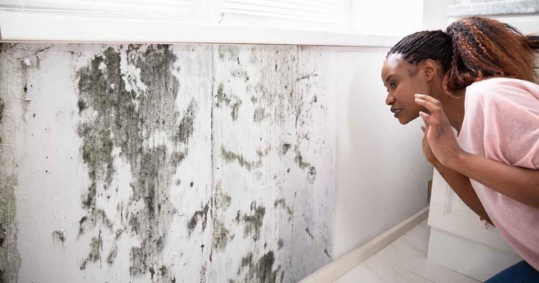 A person examines a wall with large patches of black mold. The wall is indoors, beneath a window. The person appears concerned, hunched slightly forward for a closer look.
