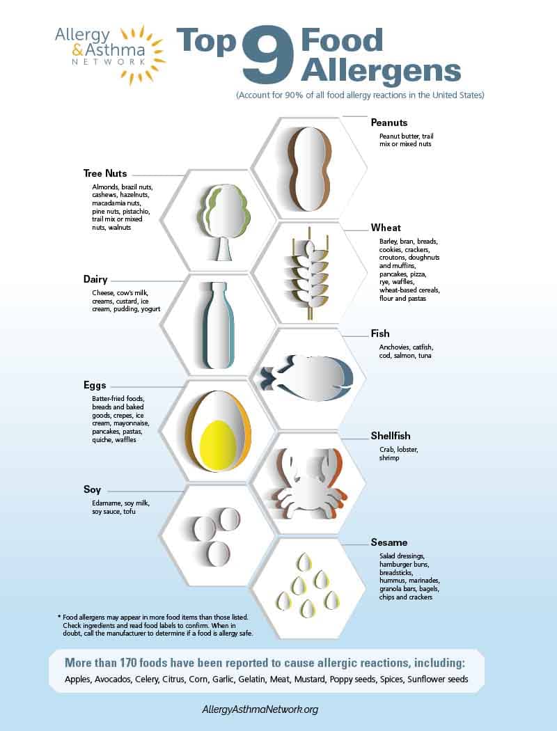 Safe Food Substitutions for Top 9 Food Allergens 2 Infographic titled "Top 9 Food Allergens," listing peanuts, tree nuts, dairy, wheat, soy, fish, eggs, shellfish, and sesame. Each allergen is illustrated with images and examples. Allergy & Asthma Network logo on top left.
